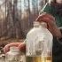 Katya Extracts Birch Sap In The Forest ONE DAY IN A UKRAINIAN VILLAGE