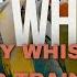 Wolf Whistle Sexy Whistle Bird Whistle Training Teach Your Bird Parrot To Sing 1 HOUR LOOP