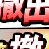美國 所有人撤出 台股也該撤出嗎 2025 06 17 字幕版
