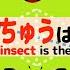 こんちゅう20種類 同じ昆虫を線でむすぼう カブトムシ クワガタムシ カマキリ 赤ちゃん 子供向け知育動画 Which Insect Is The Same