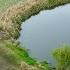 Carp Fishing A Hidden Pond In A Farmers Field