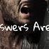When Answers Aren T Enough Scott Wesley Brown Lyrics