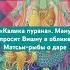 Калика пурана Ману просит Вишну в облике Матсьи рыбы о даре