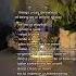 Things You Can Do Instead Of Being On Your Phone Tiktok Str4wb3rryluvrr