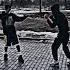 здравый движ андеграунд Youtube спорт пацаны музыка русский слова обои татуировка
