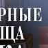 Ну очень выгодные цены на рынке в Париже