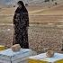 Single Mom S Sweet Dream Can She Fund 10 Beehives And Start A Beekeeping Business