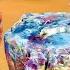 We Found Rainbow Petrified Wood Buried In The Desert