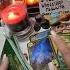 что подскажет Ленорман таро Tarodeltamor Taro таролог Tarot