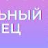 Аудиокнига Удивительный незнакомец Алла Човжик 2023