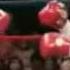 Tupac Feat Roy Jones Jr Can T Be Touched