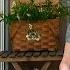 Decorate My Summer Porch With Me