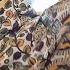 Chinnuri Silk Saree