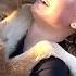 ADORABLE Baby Animal Videos 20 Minutes Of Cute Baby Animals