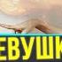 Девушка выносит мозг Что делать если женщина выносит мозг мужчине