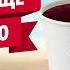С 6 ПО 8 ИЮНЯ МОРС ЯГОДНЫЙ И ПУНШ ТАËЖНЫЙ В KFC ВСЕГО ЗА 1 рубль