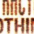 Nothing Is Forever
