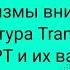 СПбГУ 2023 10 21 Механизмы внимания Transformer BERT и GPT