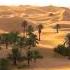 Al Ain Desert Vew Abu Dhabi Animals Abu Dhabi Desert