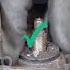 You Can Also Make A Varsal Removing Tool Using This Jugaad