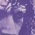 Brian Auger S Oblivion Express Somebody Help Us Second Wind 1972