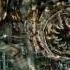 Transformers 3 Final Battle Part 2