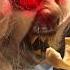 Spirit Halloween Zombie Baby Eats Chipotle Spirithalloween Baby Halloween Spooky Eating Scary