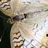 Visit The Butterflies At The Las Vegas Springs Preserve Butterfly Habitat