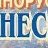 Александр Шишков О написавших эту книгу