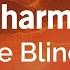 Semi Charmed Life Third Eye Blind Karaoke Version KaraFun