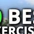 20 Best Exercises To Start Calisthenics Beginner Workout Plan