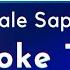 Saale Sapne Karaoke With Lyrics Padman High Quality Karaoke