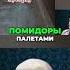 Гнилые продукты новогодний ужас ритейла