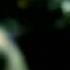 Tyga Hard In The Paint Freestyle HD