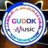 GUDOK UCHUN CHIROYLI MUSIQA THE BEST RINGTONE FOR YOU PHONE