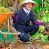 Final Harvest Of Homegrown Fruits Vegetables Clear All For New Crop Season Go To Market To Sell