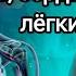 Гимнастика при заболеваниях сердца сосудов и лёгких Гипертония инсульт и т д