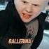 Brainrot Funk Brrbrrpatapim Ballerinacappucina Tralalerotralala Lirililarila Rap