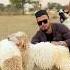 Qurbani Ke Liye Bakre Bakra Eid Mubarak Bakraeid Qurbani Islamicstatus Trending Shorts
