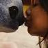Lilo Stitch Official Trailer In Cinemas May 21 Disney UK