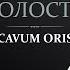 Анатомия ротовой полости CAVUM ORIS