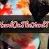 Big Lex Presses Charges On Joseline Hernandez After Getting Jumped