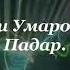 Махмадали умар падар 2020