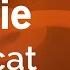 Georgie Pussycat Karaoke Version KaraFun