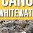 Whitewater Canoeing 101