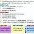 ABG Interpretation Steps 3 Things You Need To Know To Solve Acid Base Imbalances Shorts