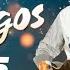 SCHLAGER HITS 2025 DIE AMIGOS
