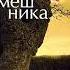 Аудиокнига Ли Харпер убить пересмешника