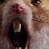 Nutty Professor 2 The Klumps 8 9 Movie CLIP Giant Hamster Attack 2000 HD