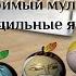16 Мой любимый м ф Молодильные яблоки